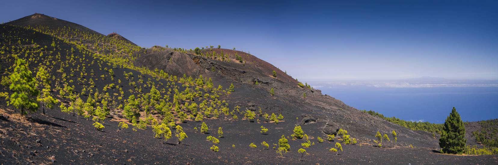 Photo - Îles Canaries - Iles Canaries #18